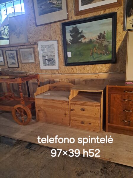 Spintelė 97×39 h52